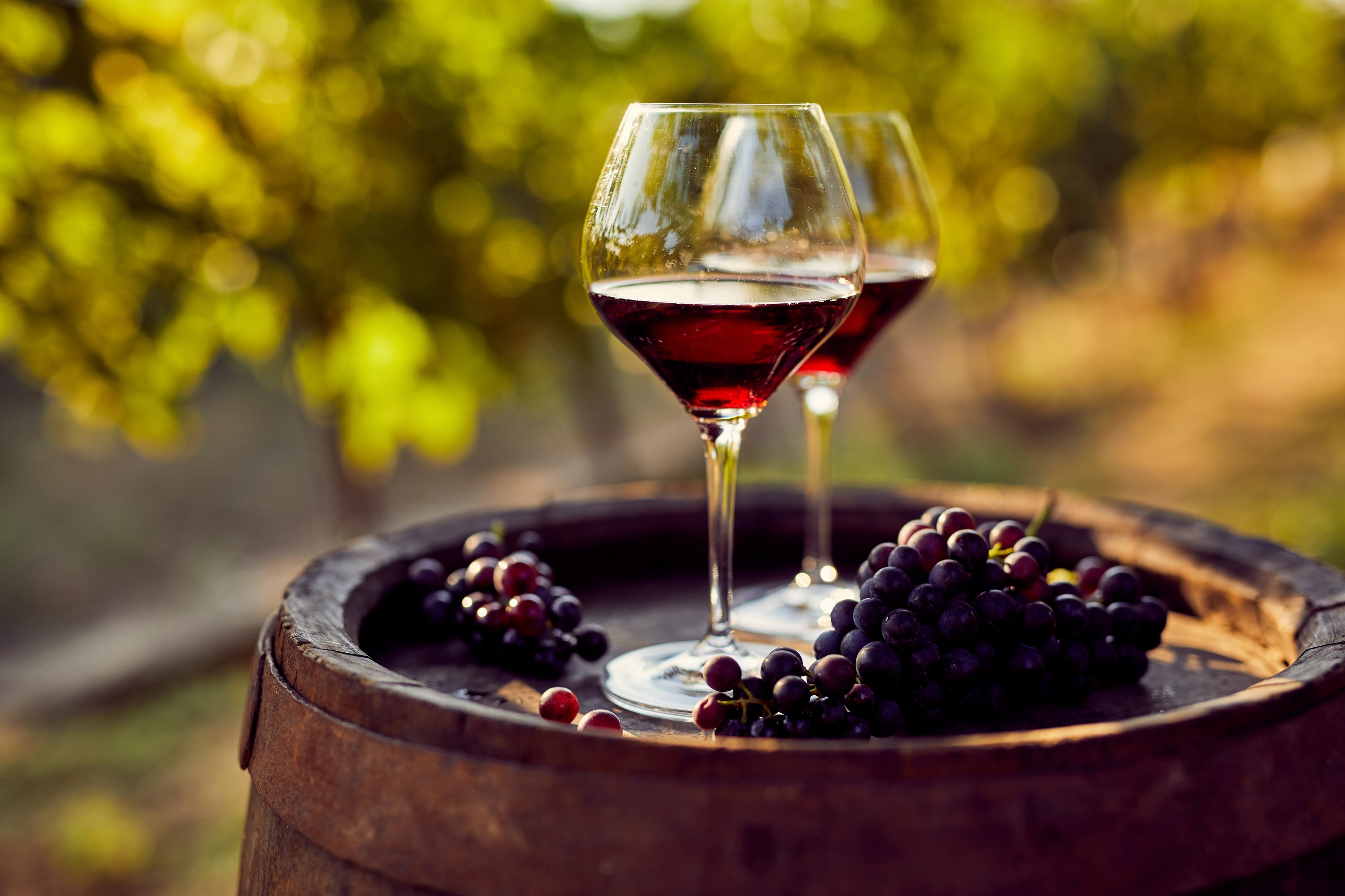 Two glasses of red wine and bunches of grapes resting on a wooden wine barrel in a sunlit vineyard.